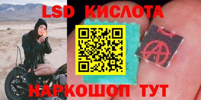 прущие грибы Изобильный
