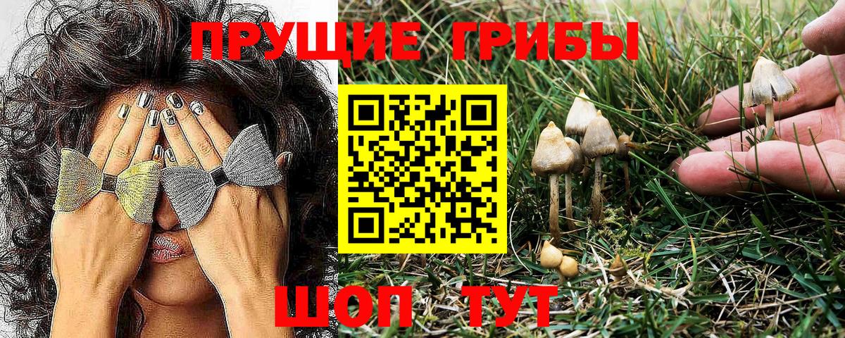 Галлюциногенные грибы Magic Shrooms Фрязино